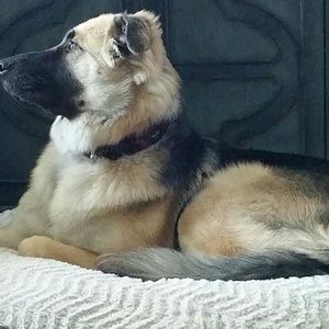 Meet your Posher, Nancy